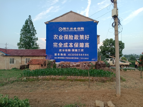 松溪墙体广告为何受追捧？